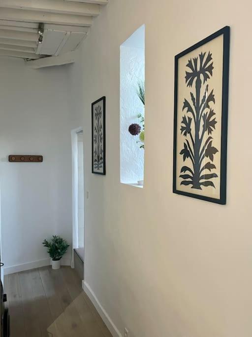 Appartement Renove De Caractere/ Parking Prive Сен-Реми-де-Прованс Экстерьер фото
